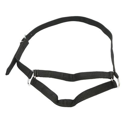 Cow halter with a 25mm nylon chain