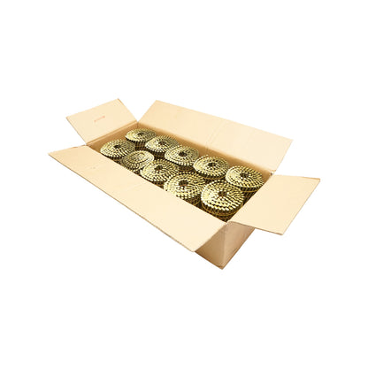 Set of 4000 nails on drum/roll, 3.1x80mm, 200pcs/roll