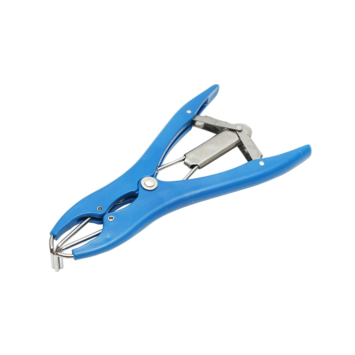 Breckner Germany castration pliers with ring for cattle, sheep, pigs