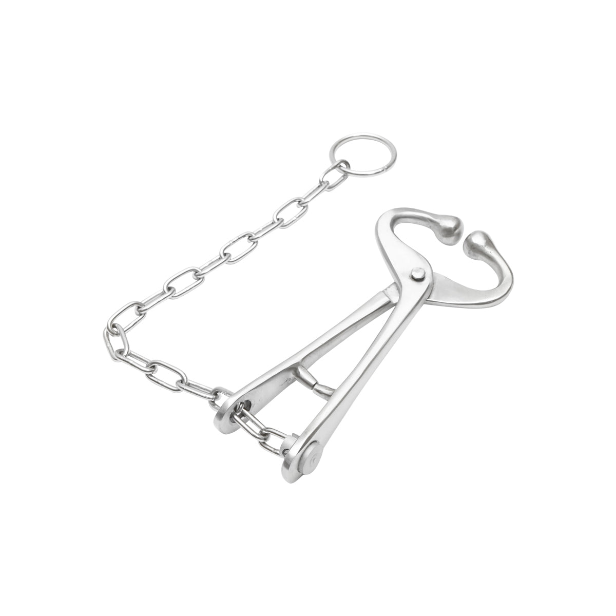 Mucarnita with chain for quick and efficient immobilization of cattle Breckner Germany
