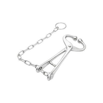 Mucarnita with chain for quick and efficient immobilization of cattle Breckner Germany