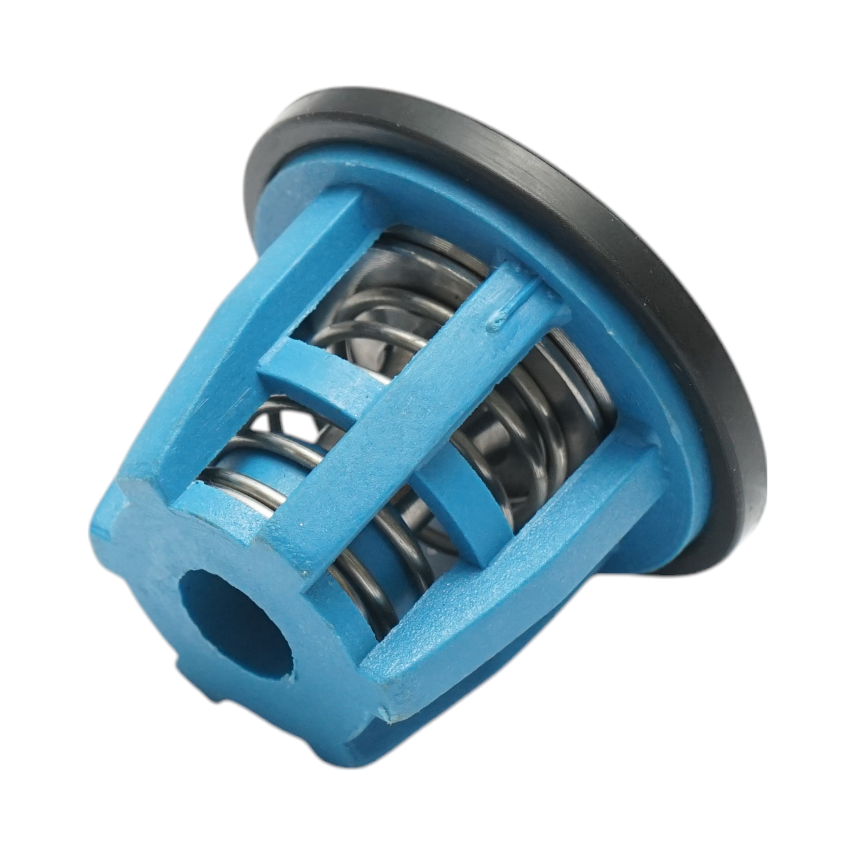 Check valve for diaphragm pump for herbicide applicator