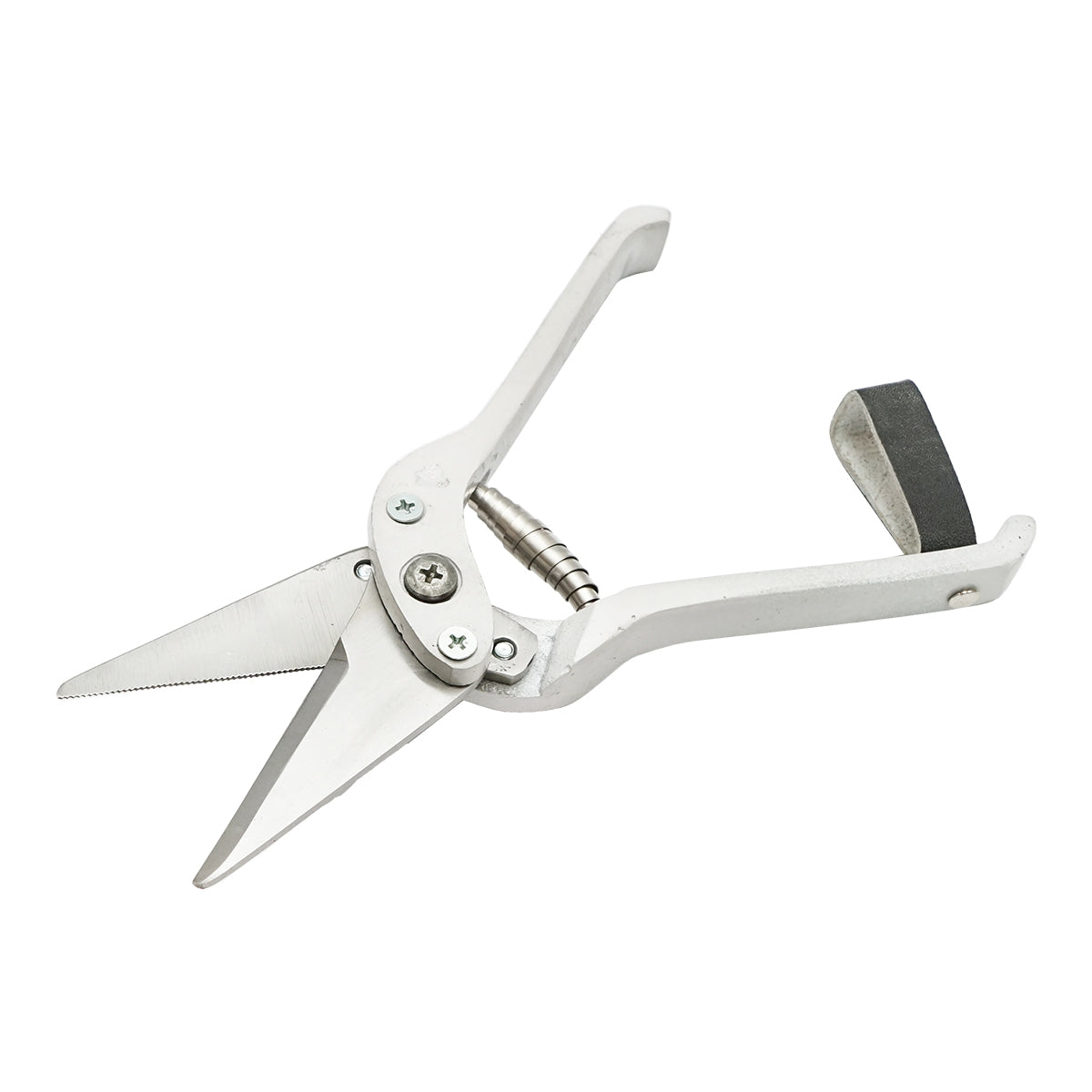 The serrated nail scissors for sheep and goats Breckner Germany
