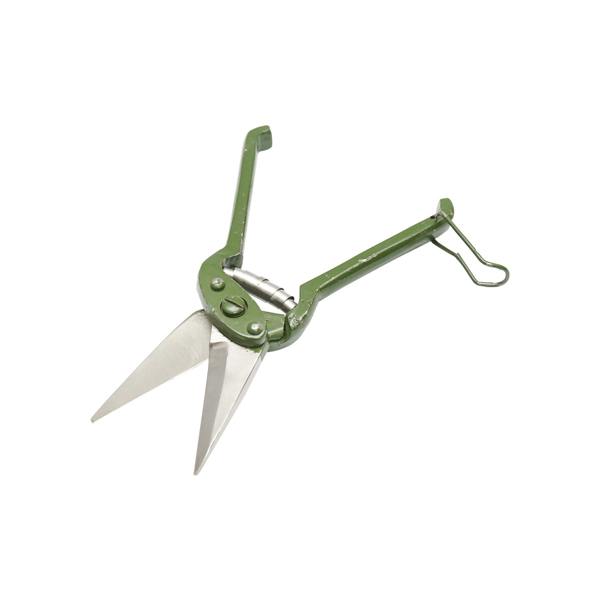 The serrated scissors for sheep and goats 240mm Breckner Germany