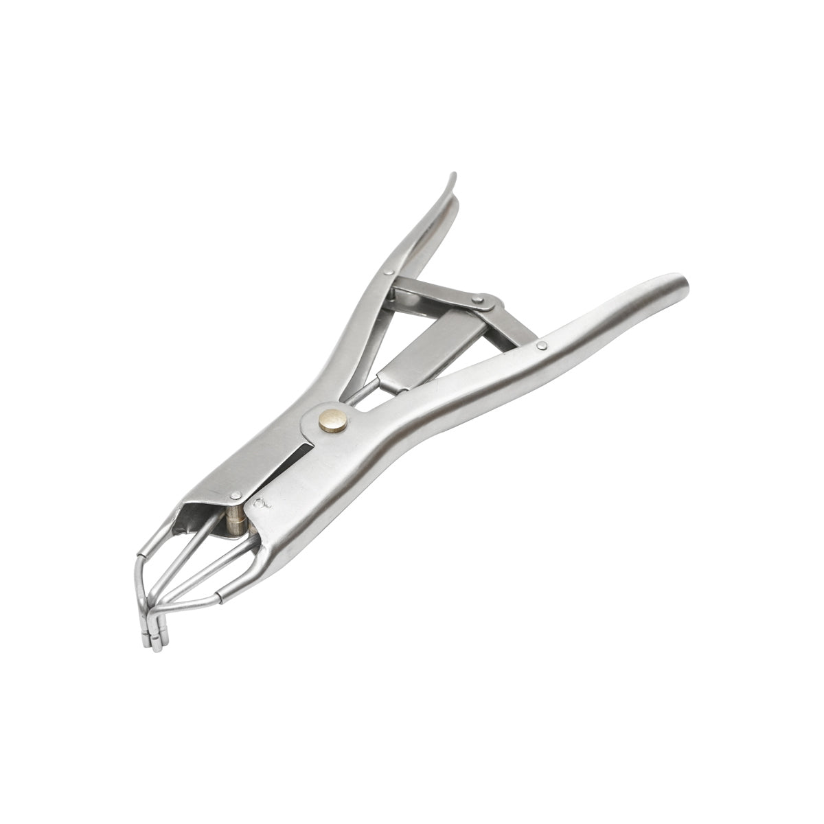 Breckner Germany castration pliers with ring for cattle, sheep, pigs