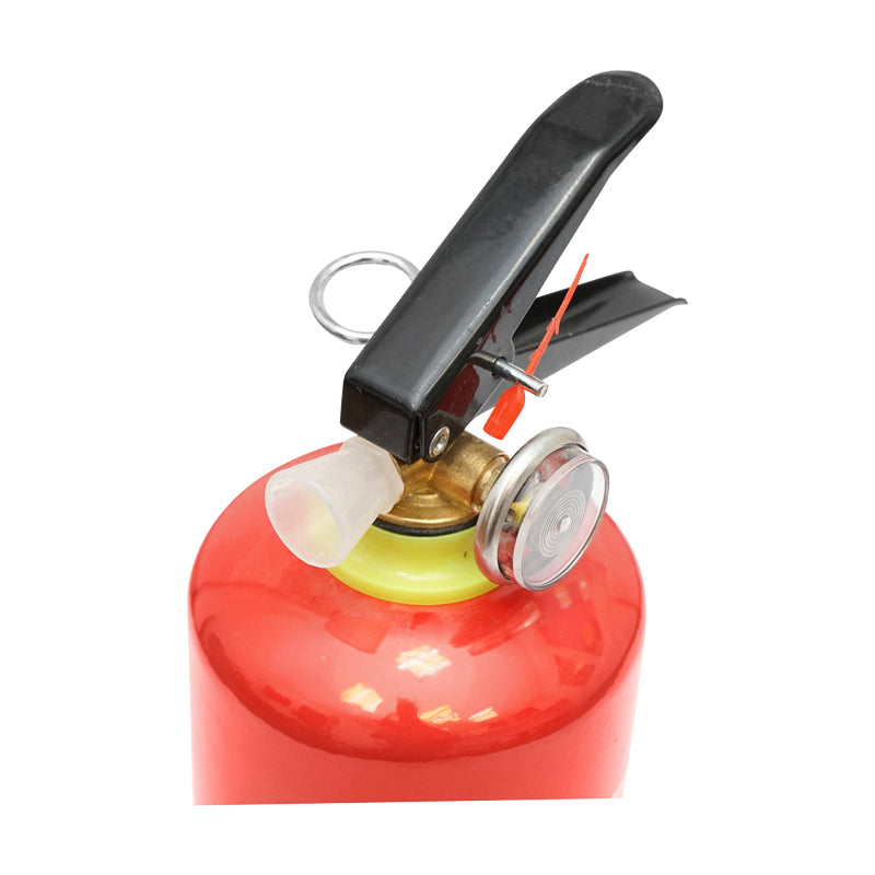 1kg P1 Fire Extinguisher