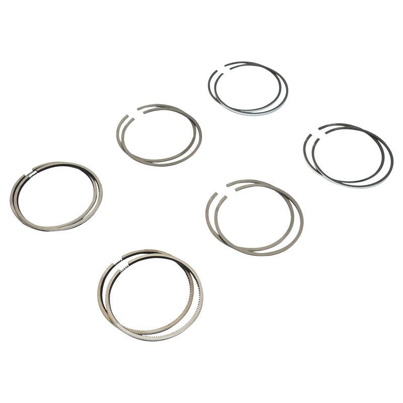 Chrome segments fi77 for Dacia 1600