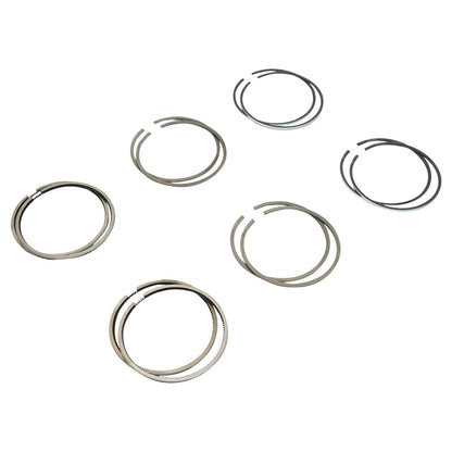 Chrome segments fi77 for Dacia 1600