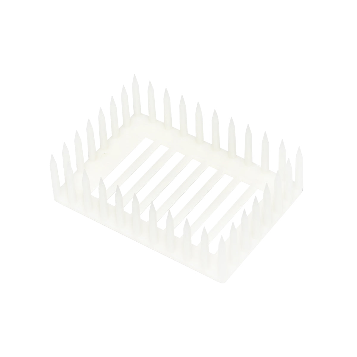 Queen bee isolator on a plastic comb with pins