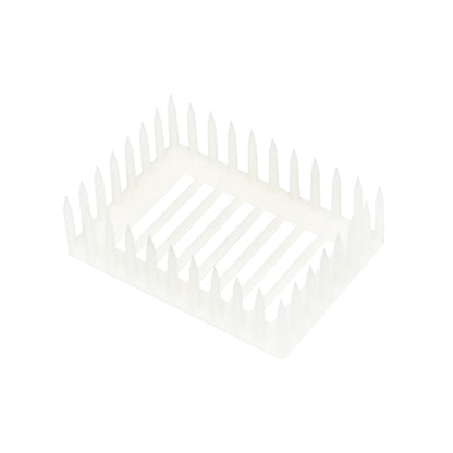 Queen bee isolator on a plastic comb with pins