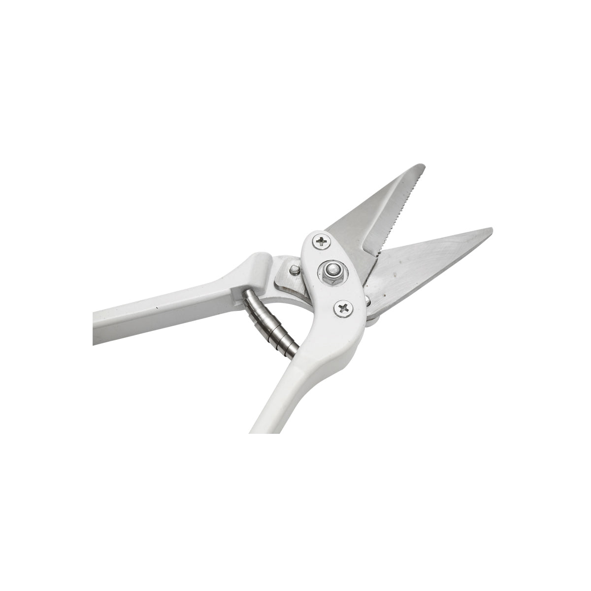Straight blade nail scissors for sheep and goats Breckner Germany