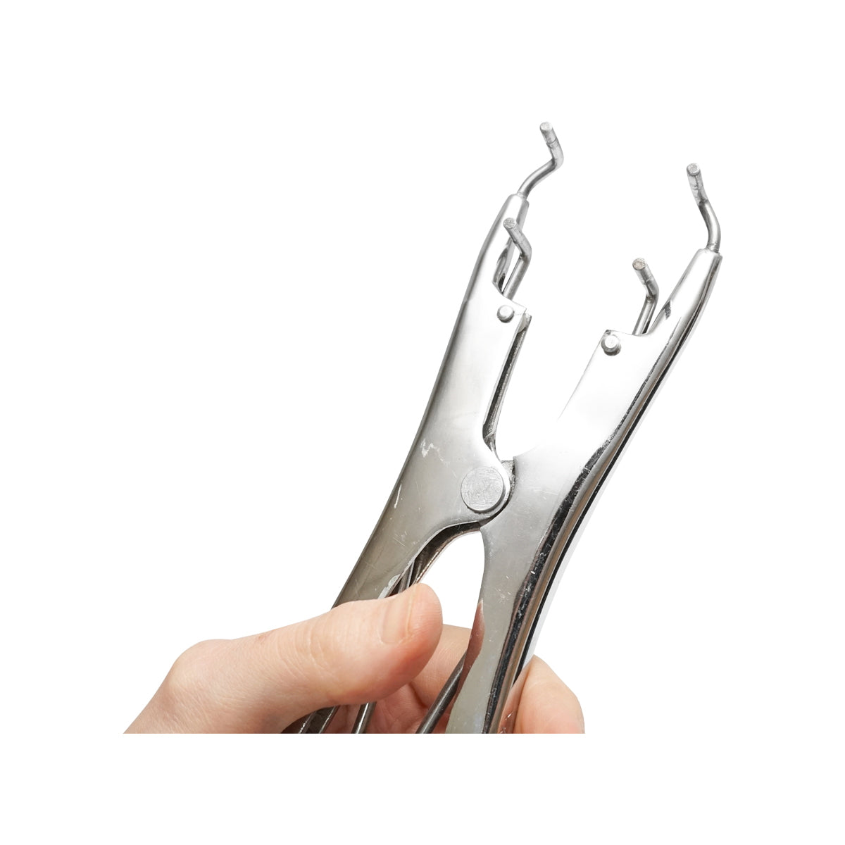 Breckner Germany castration pliers with ring for cattle, sheep, pigs