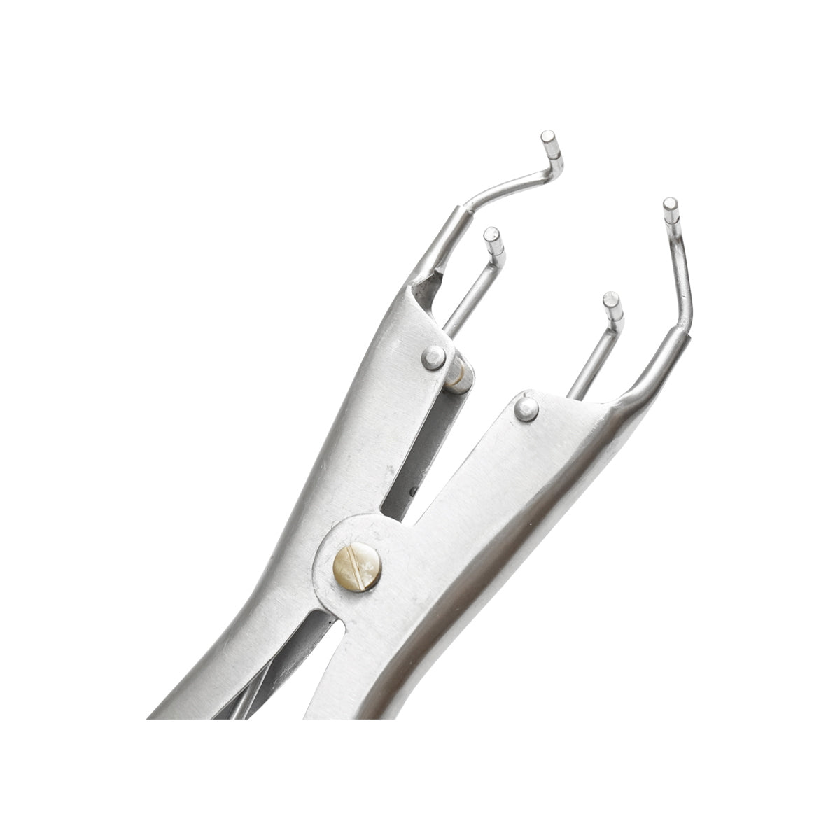 Breckner Germany castration pliers with ring for cattle, sheep, pigs