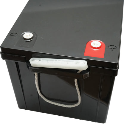 Li-ion Battery LifePo4 25.6V 100Ah (2560Wh) LFP24100 for solar systems 522x240x218mm IP65 Leoch Battery