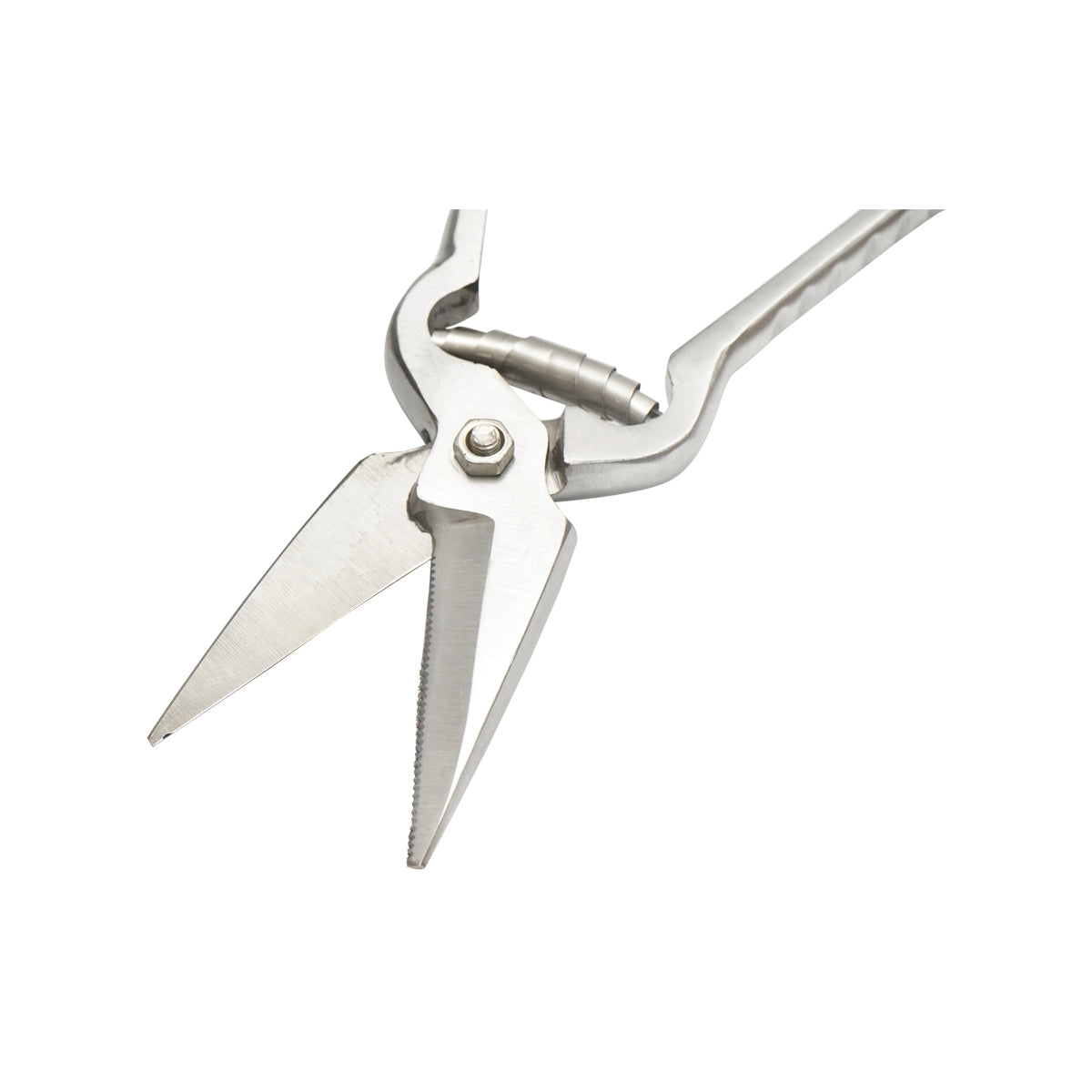 The serrated scissors for sheep and goats 220mm Breckner Germany