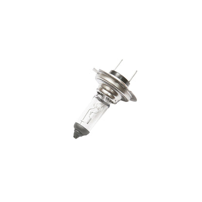 H7 Bulb 12V 55W