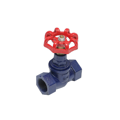 Cast iron gate valve 3/4