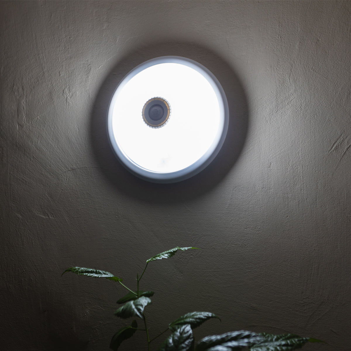 LED ceiling light with twilight sensor 220V, E27 2x40W, 360 degrees, 300x105mm Breckner Germany