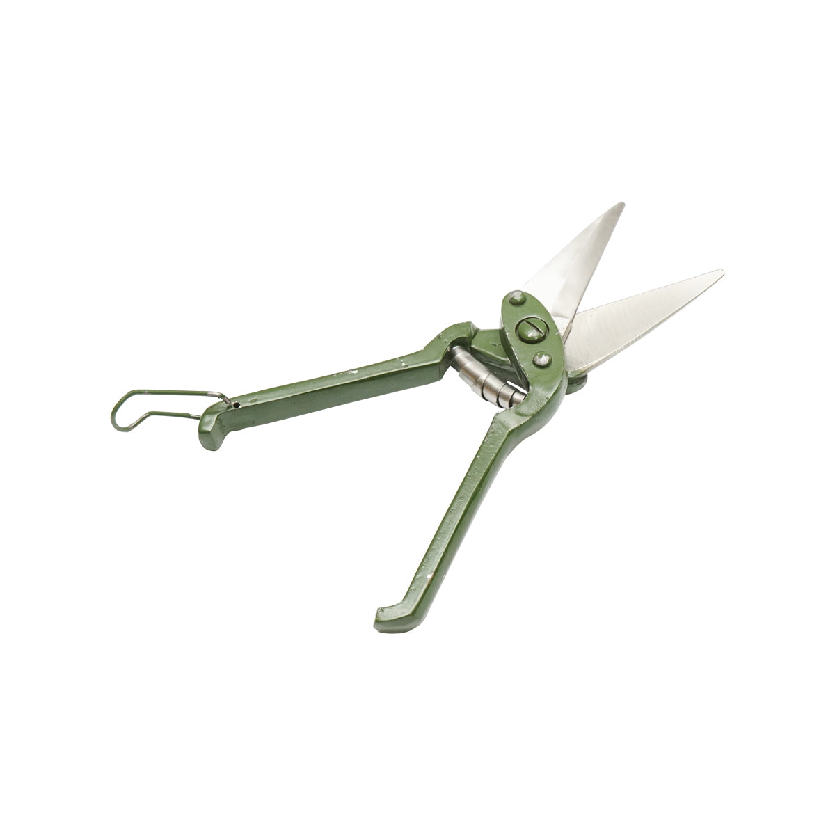 The serrated scissors for sheep and goats 240mm Breckner Germany