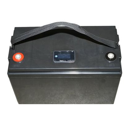 Li-ion LifePo4 Battery 12.8V, 100Ah with BMS, Bluetooth, LCD display, and IP54 temperature protection CHILWEE