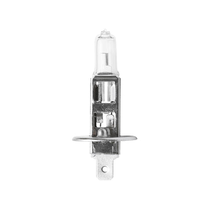 Halogen light beacon H1 12-24V for foot support