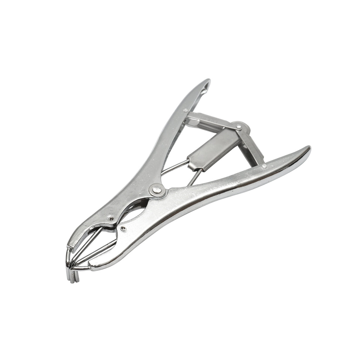 Breckner Germany castration pliers with ring for cattle, sheep, pigs