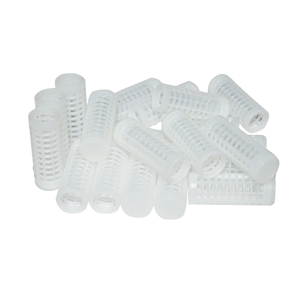 Complete growth kit for queens