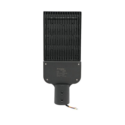 100W LED street lighting lamp, 220V, IP65, 6500K with pole mount Breckner Germany