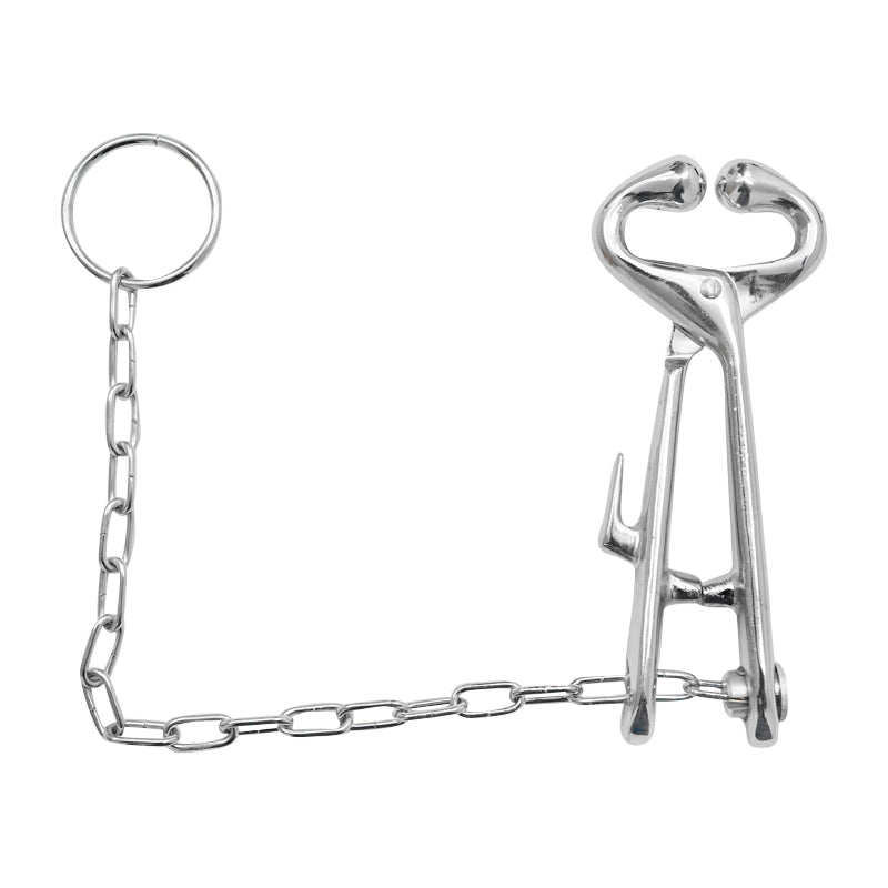 The chain halter for rapid and efficient immobilization of cattle