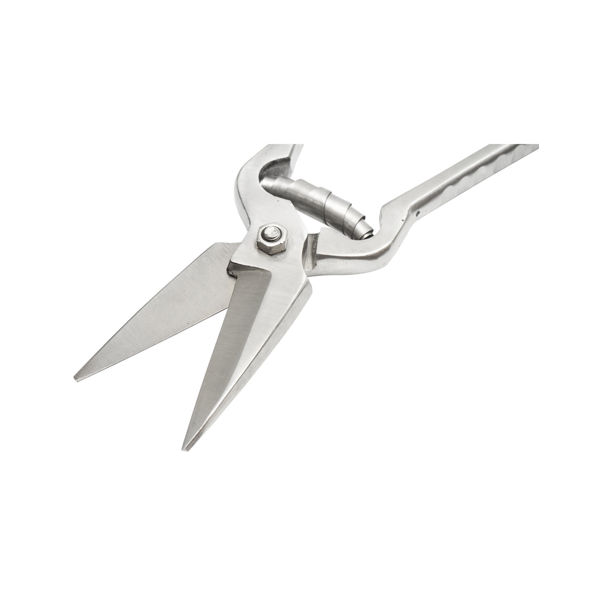 Right scissors for sheep and goats, 230mm Breckner Germany