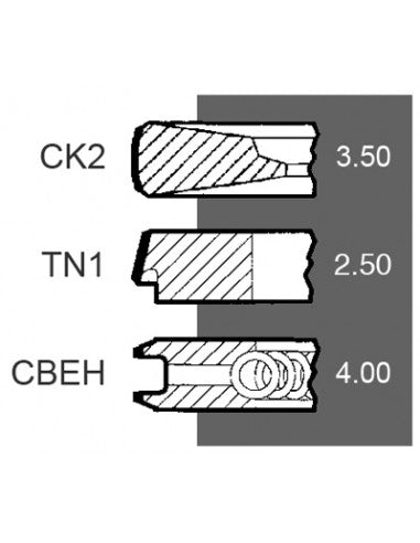 Set motor segments for Massey Ferguson, Landini, Perkins OEM code 3641316M91, 4181A023, 4181A025, 4181A026