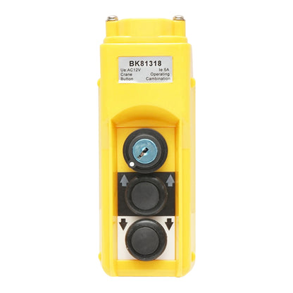 Industrial remote control with 2 commands and general contact with key 12V Breckner Germany