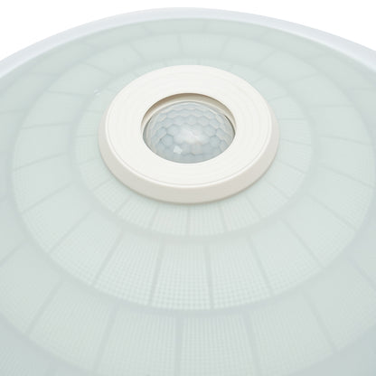 LED ceiling light with twilight sensor 15W, 220V, 360 degrees, 300x105mm Breckner Germany