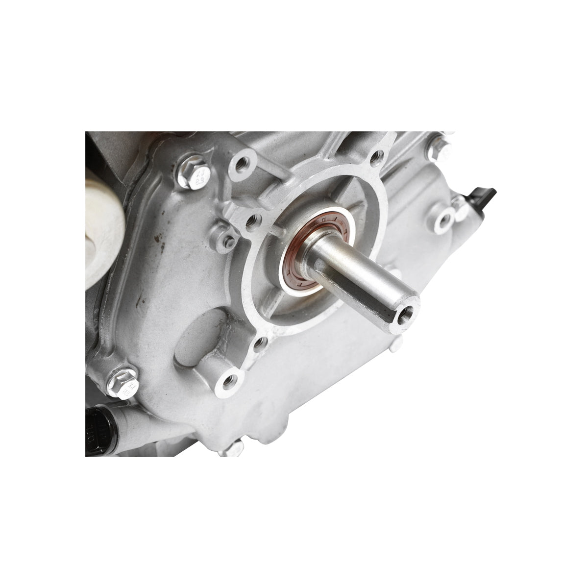 9HP gasoline engine, 4-stroke, 25mm splined shaft with 12V/17Ah battery, key/rope start Breckner Germany