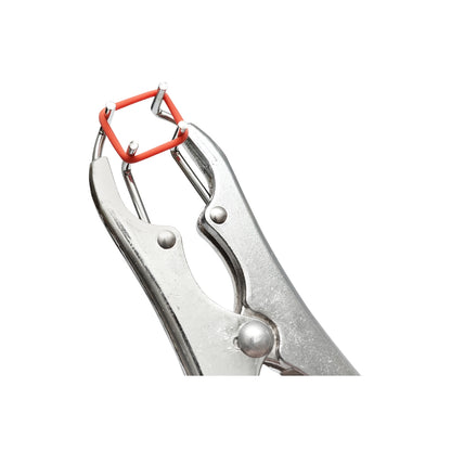 Breckner Germany castration pliers with ring for cattle, sheep, pigs