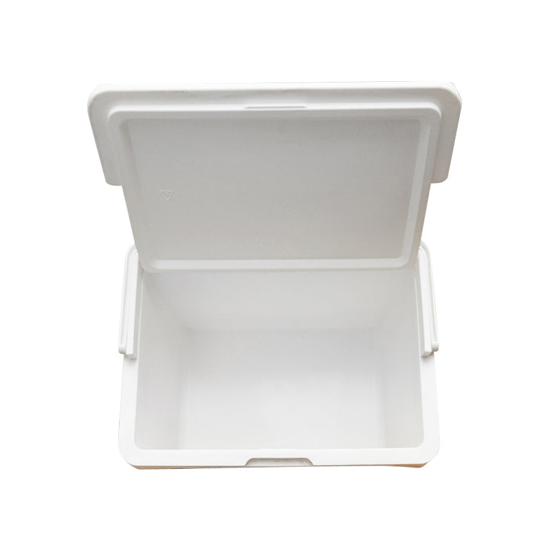 Blue 20L picnic cooler 390 x 280 x 310 mm Breckner Germany