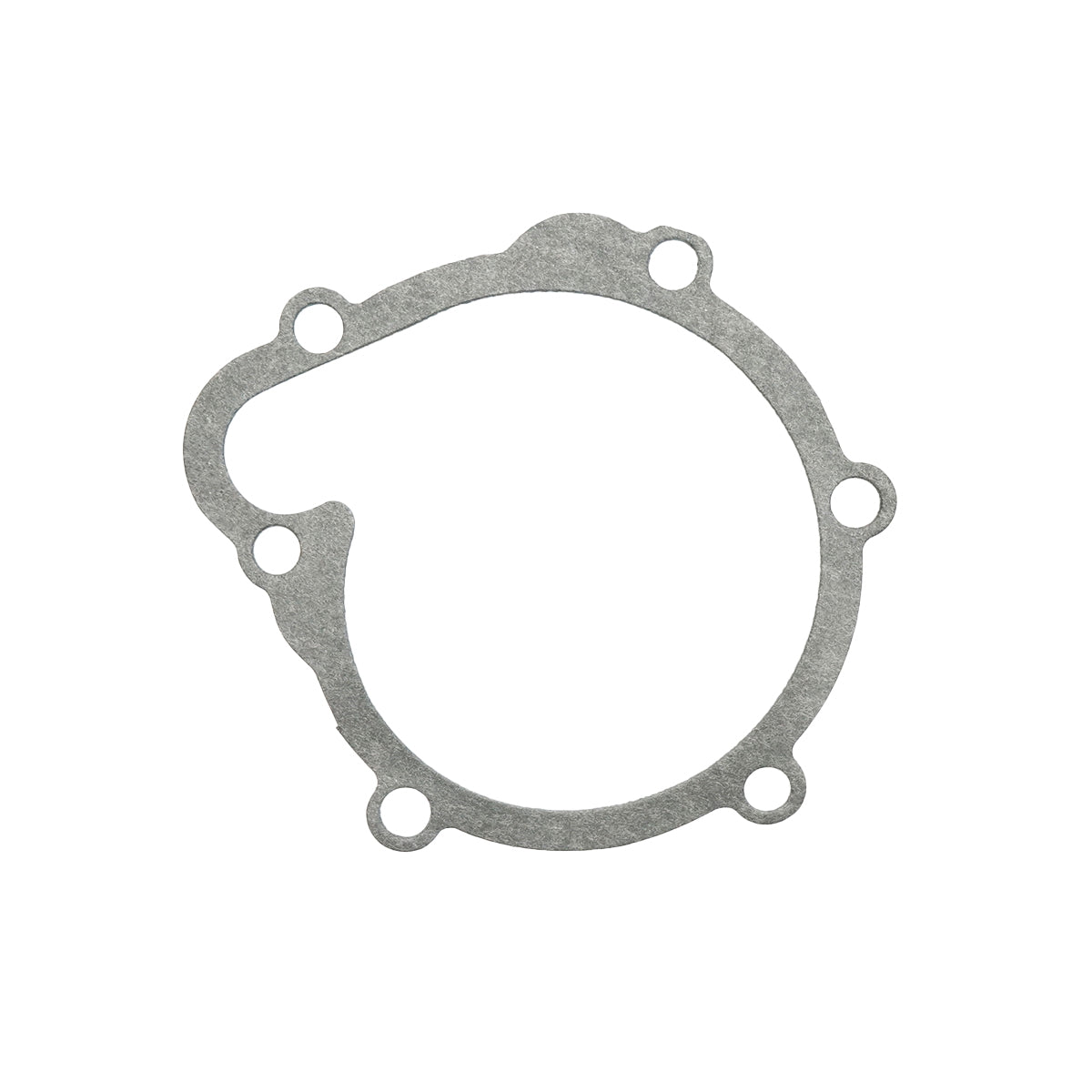 Water pump for Deutz-Fahr 042595546, 04206172, 04801515, 04256850